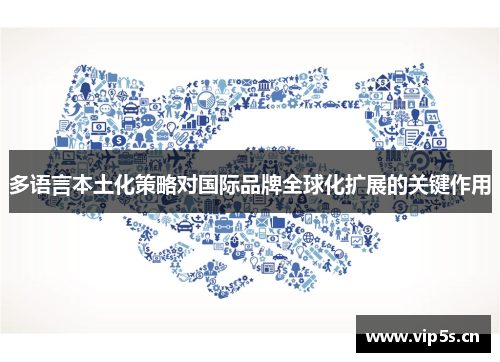 多语言本土化策略对国际品牌全球化扩展的关键作用